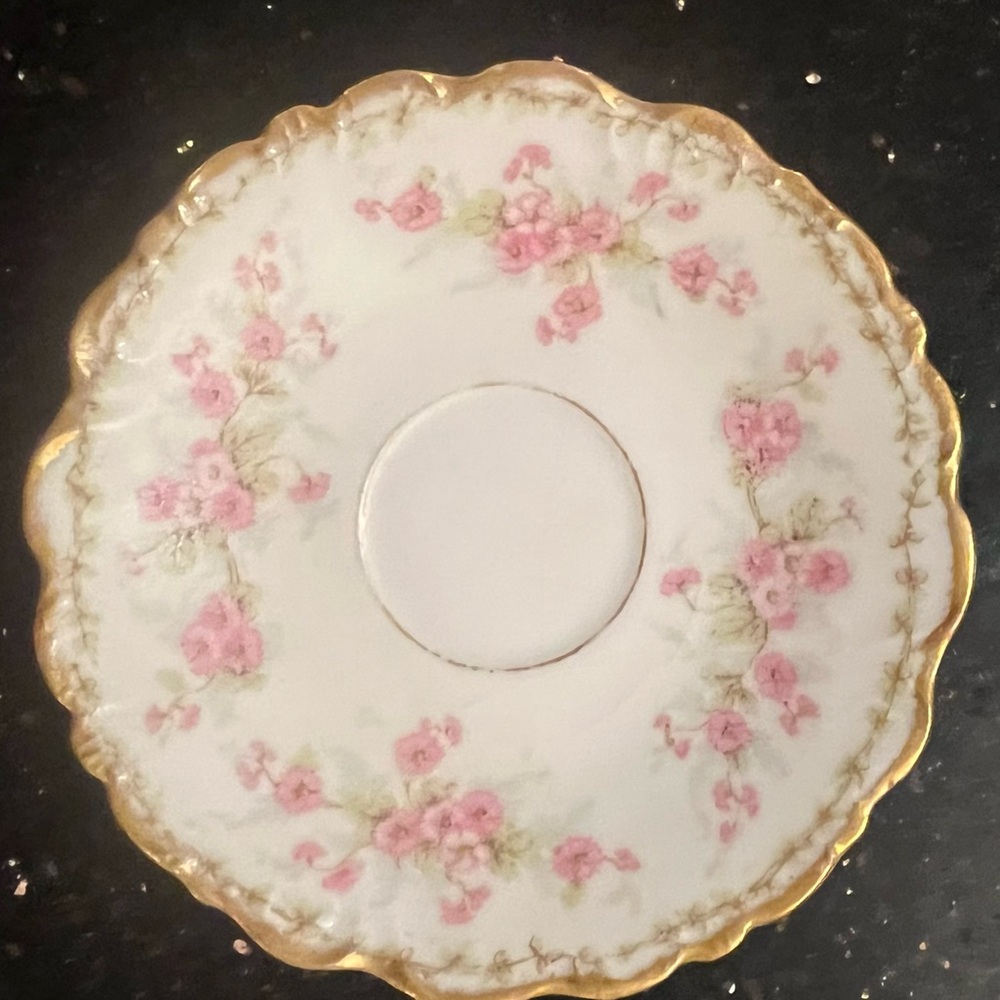 Bawo & Dotter Replacement Saucer from Limoges, France in Pattern: BWD4